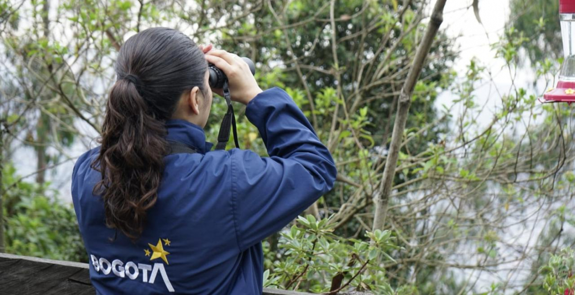 Bogotá alza vuelo: El IDT impulsa el Global Big Day 2024 para conectar con la naturaleza