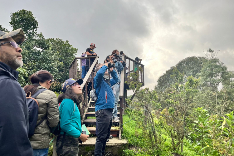 Descubre el avistamiento de aves en Bogotá: Más de 20 lugares para disfrutar del turismo de naturaleza.