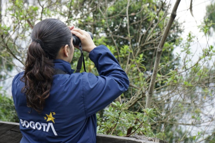 Descubre el avistamiento de aves en Bogotá: Más de 20 lugares para disfrutar del turismo de naturaleza.