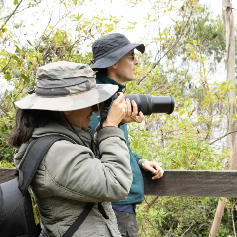 Más de 100 especies de aves en los Cerros Orientales de Bogotá fueron protagonistas en la celebración del October Big Day 2024