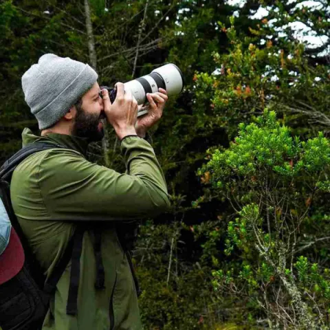 Más de 200 razones para mirar al cielo: Bogotá celebra el Global Big Day con un conversatorio sobre turismo de aves y conservación