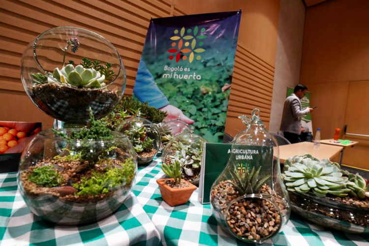 Turismo Bogotá contó cómo lo local y lo ancestral guían su estrategia gastronómica