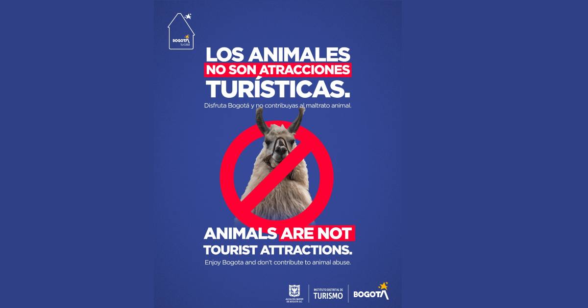 Bogotá lanza campaña de sensibilización para prevenir el maltrato ...