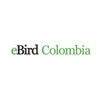 eBird Colombia