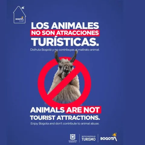 Bogotá lanza campaña de sensibilización para prevenir el maltrato animal en el contexto del turismo y promover prácticas responsable