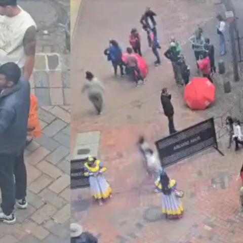 Turistas denuncian cobros ilegales y explotación de llamas en el Centro Histórico de Bogotá