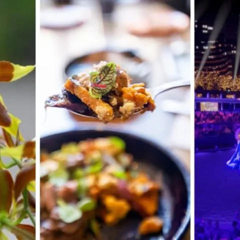 Planes en Bogotá, conciertos, Bienal de Arte y más para celebrar Día de Amor y Amistad 2025