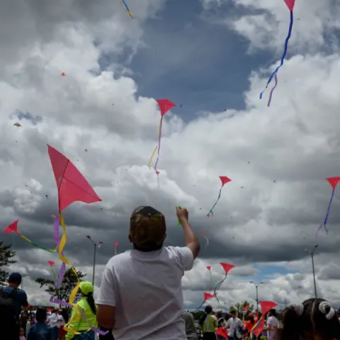Francia como país invitado y más de 60 eventos para el Festival de Verano de Bogotá del 3 al 11 de agosto ¡Agéndate!