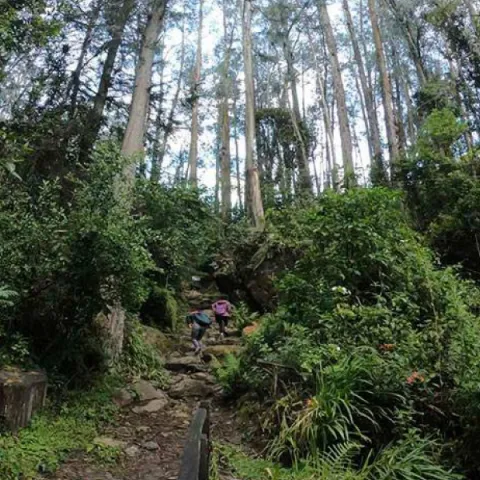 Inscríbete gratis a las caminatas ecológicas por el camino Santa Ana La Aguadora en Bogotá