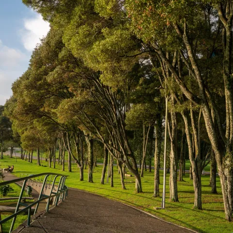 Parque Simón Bolívar 