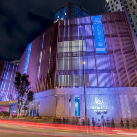 Cuatro planes para vivir a fondo la diversidad en Bogotá