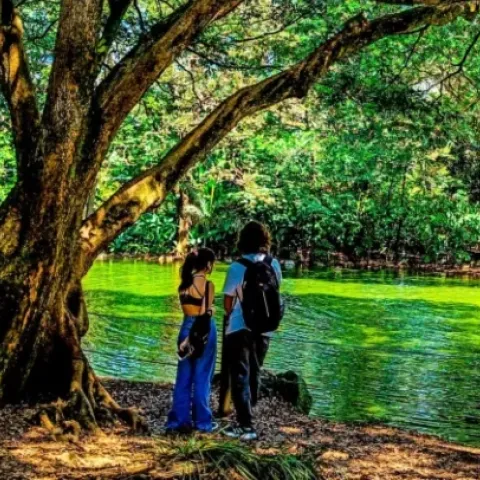 Cinco razones fundamentales para descubrir y recorrer el Tropicario del Jardín Botánico