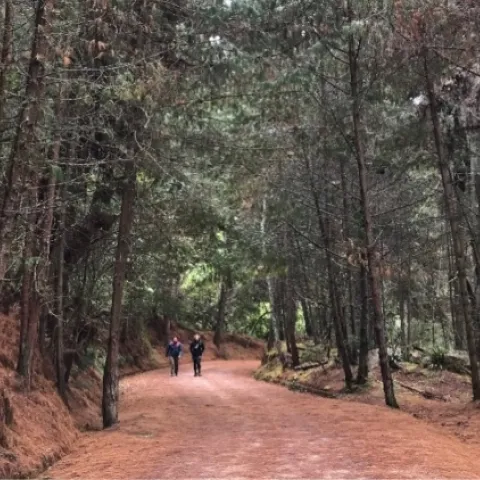 La EAAB habilita su plataforma digital para agendar recorridos en los Cerros Orientales