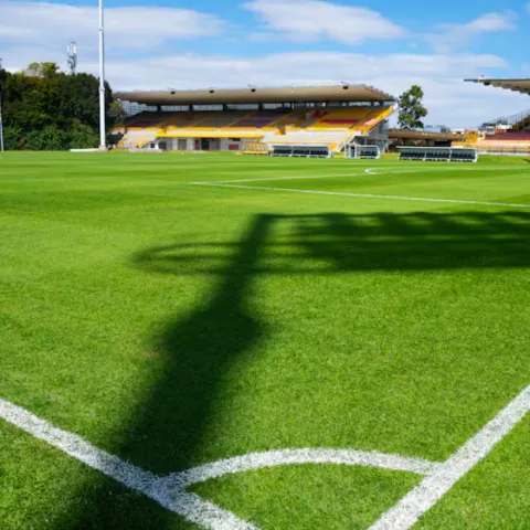 Gramilla renovada del estadio de Techo