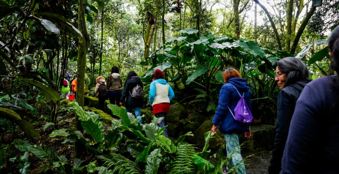 Bogotá potencia de turismo de naturaleza responsable y sostenible 