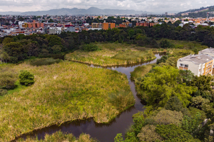 Conoce y disfruta del parque ecológico distrital de humedal Santa María del Lago en Bogotá