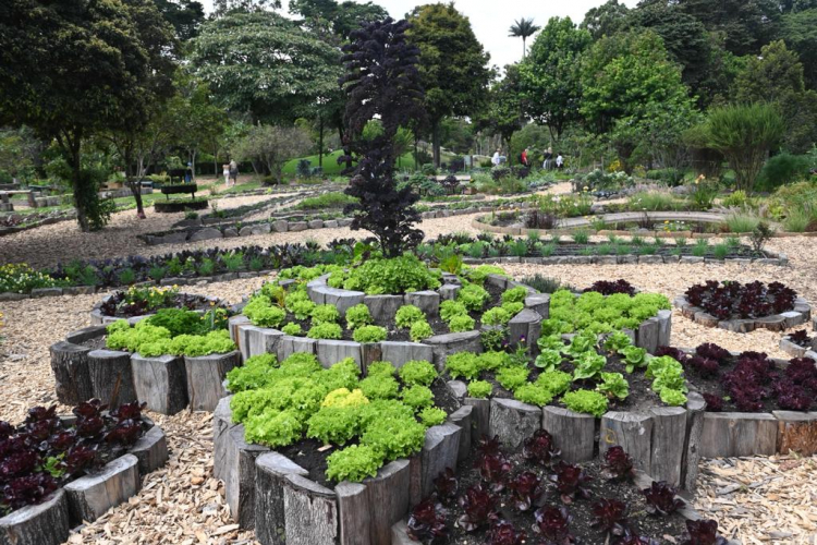 IDT y Jardín Botánico potencian el Centro de Atención al Visitante para que el público viva una experiencia fascinante