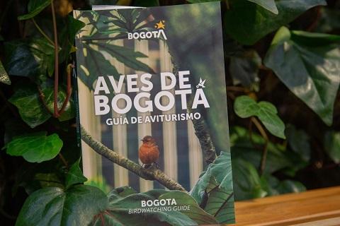 IDT premia creatividad a concursantes de #Aventanear