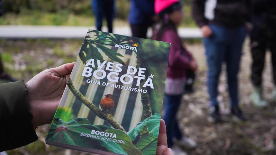 MINCOMERCIO SE UNE AL IDT PARA OFRECER JORNADA URBANA DE AVISTAMIENTO DE AVES EN EL GLOBAL BIG DAY 2023