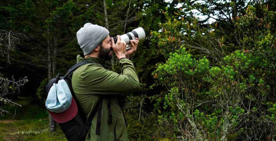 Más de 200 razones para mirar al cielo: Bogotá celebra el Global Big Day con un conversatorio sobre turismo de aves y conservación