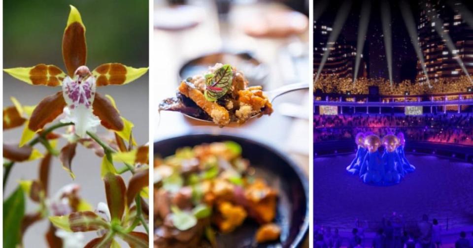 Planes en Bogotá, conciertos, Bienal de Arte y más para celebrar Día de Amor y Amistad 2025