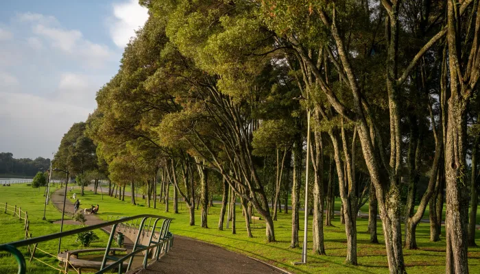 Parque Simón Bolívar 