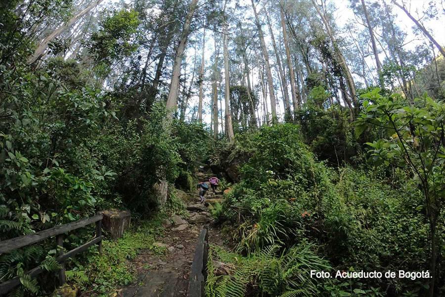 Inscríbete gratis a las caminatas ecológicas por el camino Santa Ana La Aguadora en Bogotá