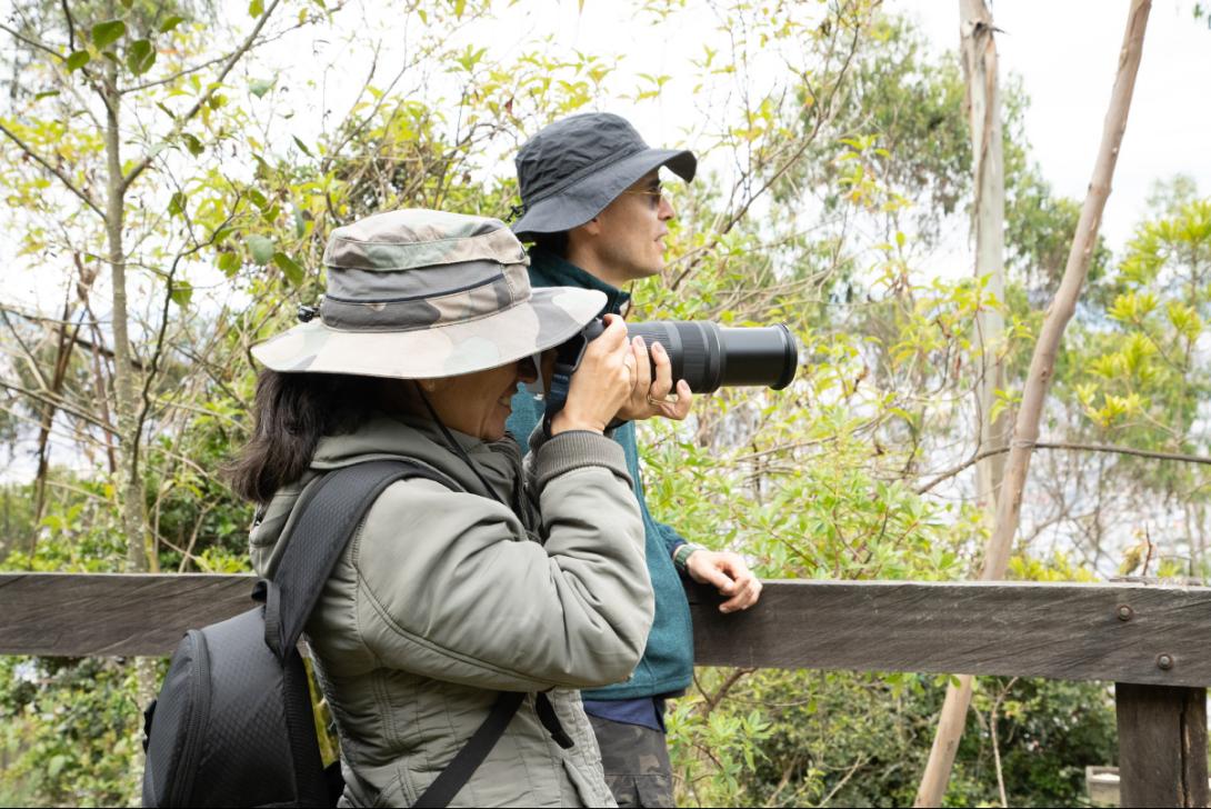 Más de 100 especies de aves en los Cerros Orientales de Bogotá fueron protagonistas en la celebración del October Big Day 2024