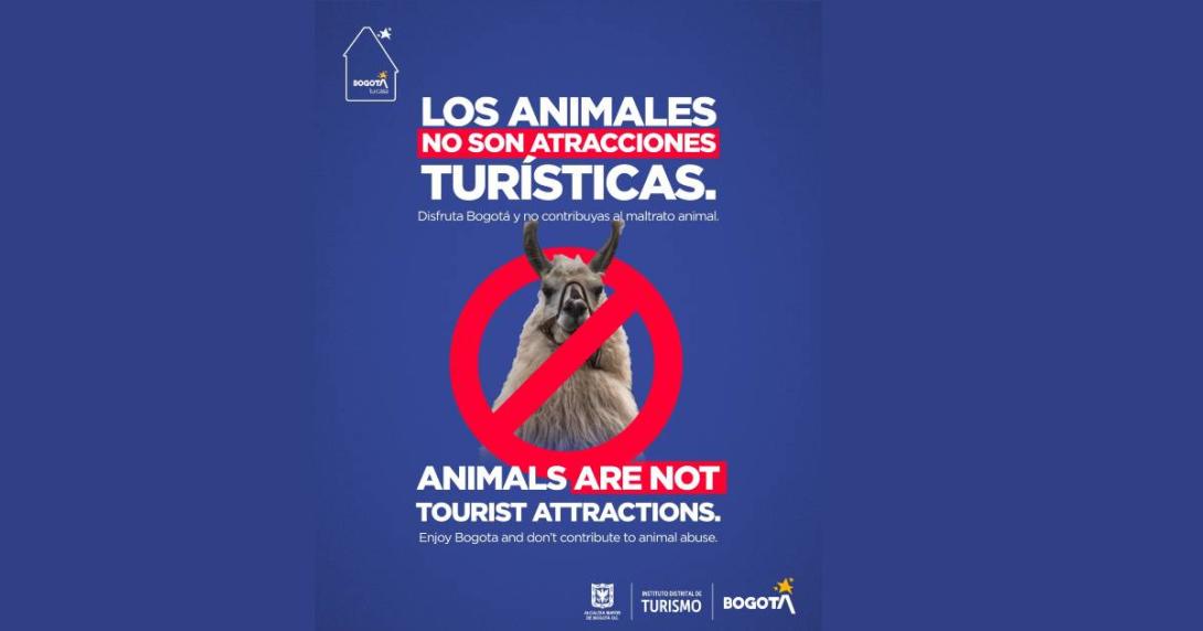 Bogotá lanza campaña de sensibilización para prevenir el maltrato animal en el contexto del turismo y promover prácticas responsable