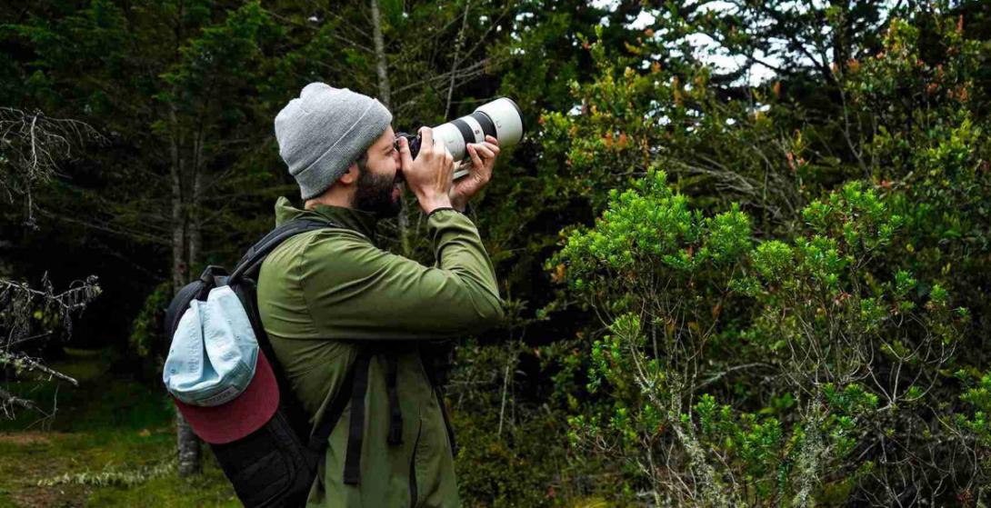 Más de 200 razones para mirar al cielo: Bogotá celebra el Global Big Day con un conversatorio sobre turismo de aves y conservación