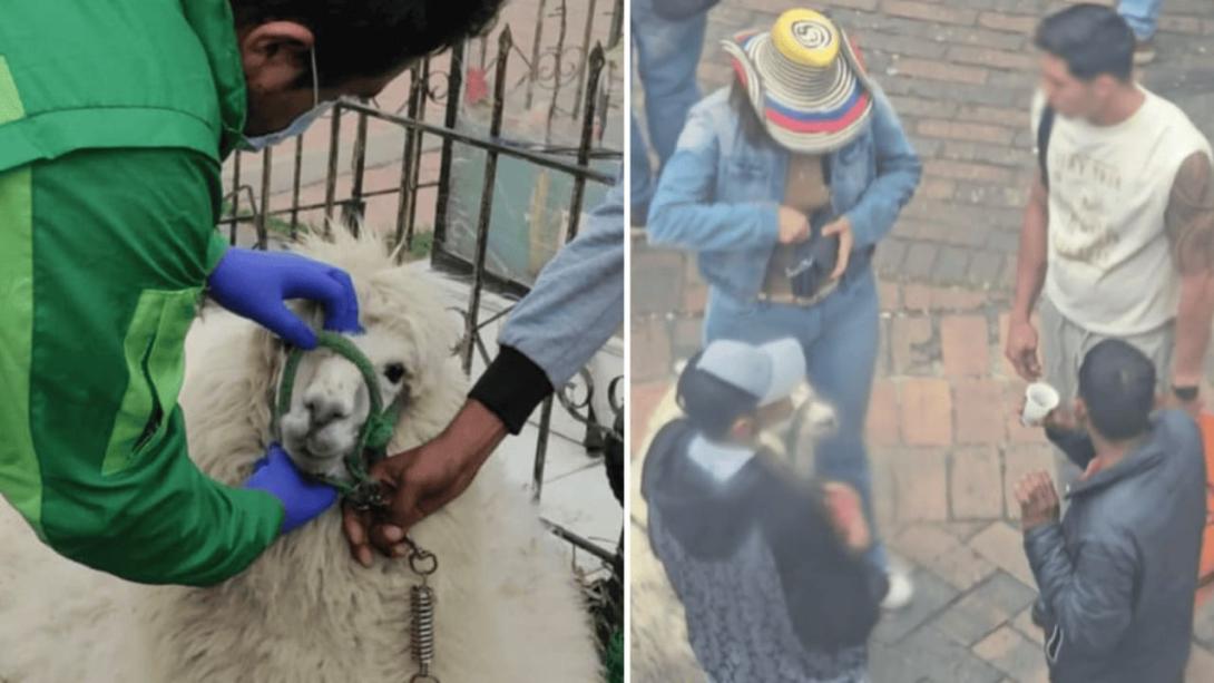 Bogotá refuerza plan de seguridad para combatir extorsiones a turistas y uso de llamas en el Centro Histórico