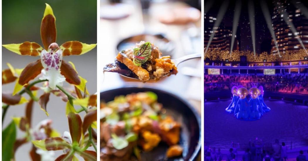 Planes en Bogotá, conciertos, Bienal de Arte y más para celebrar Día de Amor y Amistad 2025