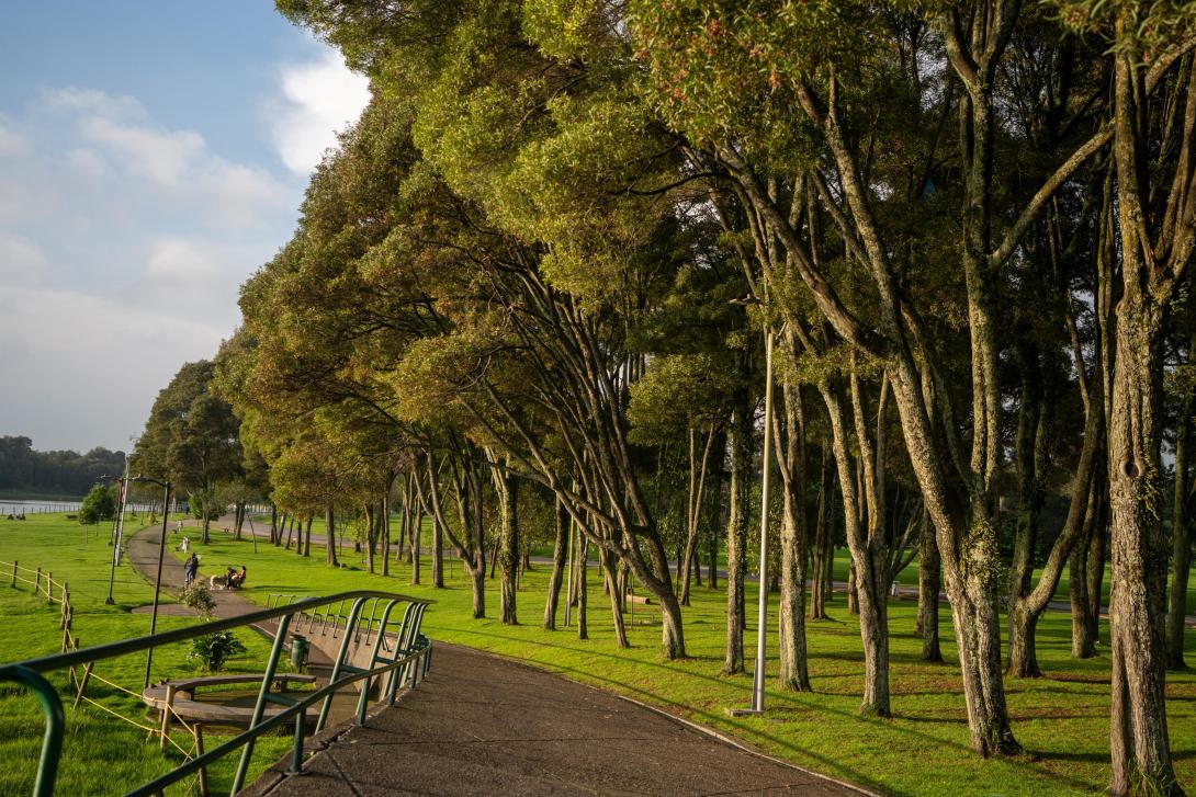 Parque Simón Bolívar 