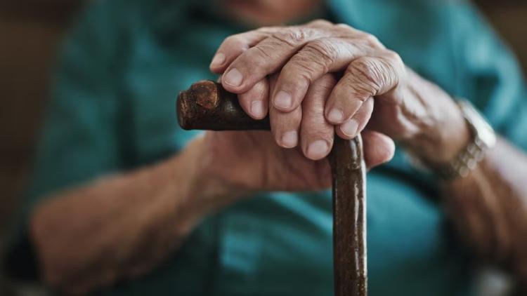 Pensionados de la administración pública se reencuentran