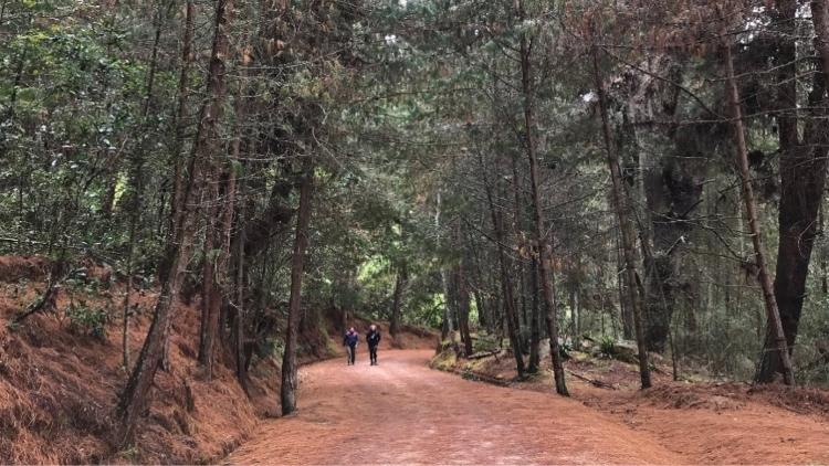 La EAAB habilita su plataforma digital para agendar recorridos en los Cerros Orientales